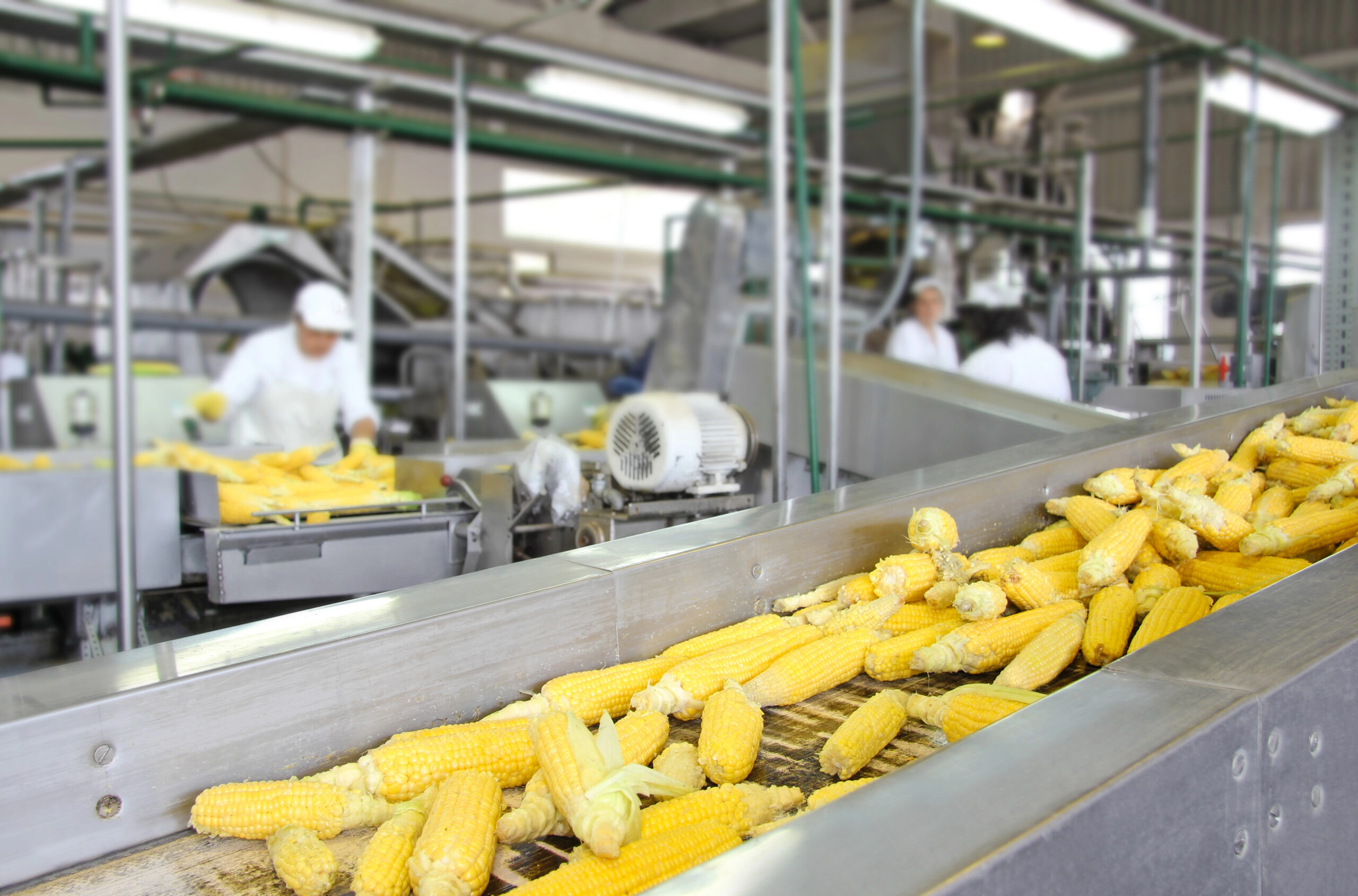 Food Processing Equipment Appraisal