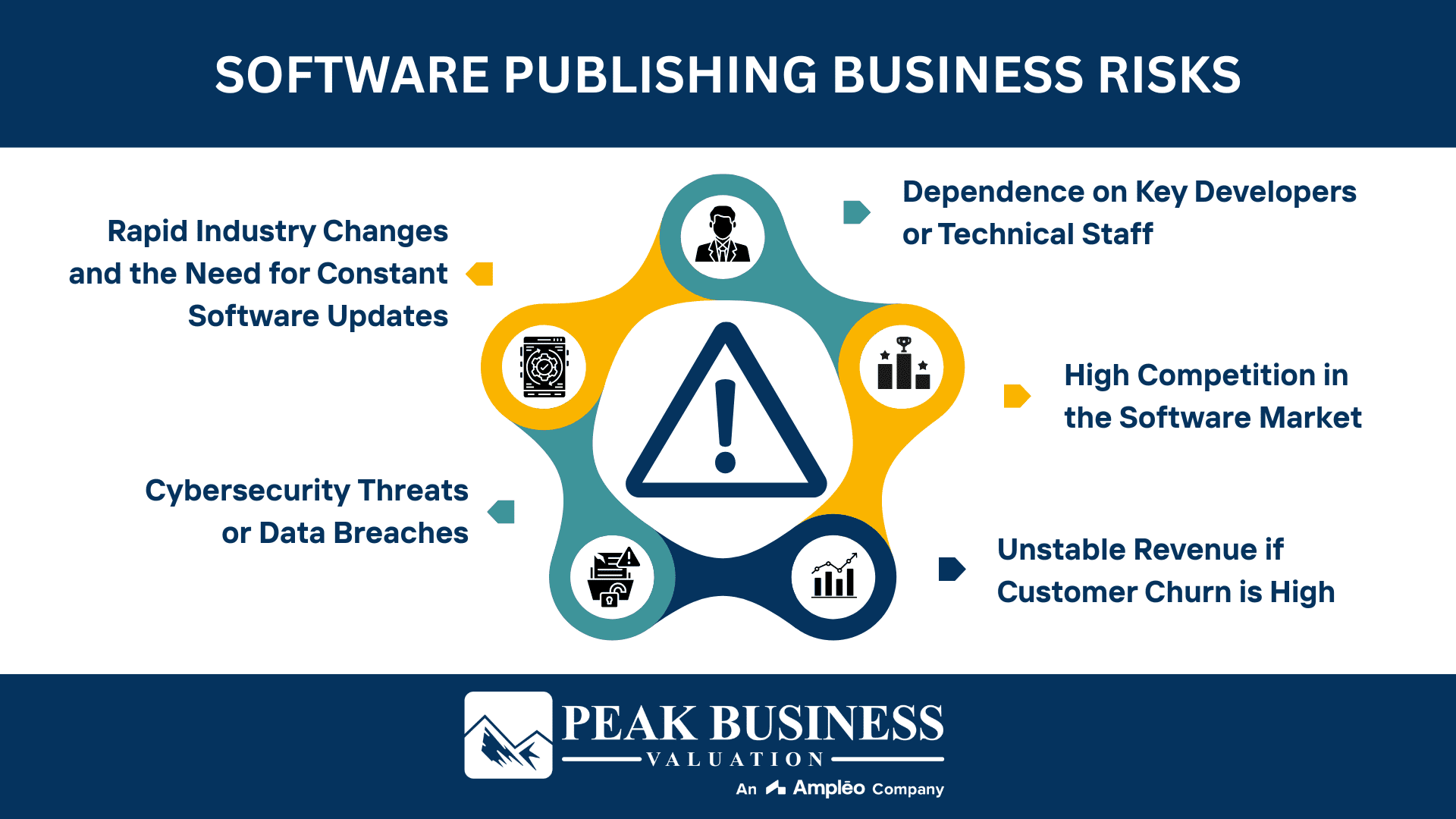 Software Publishing Business Risks