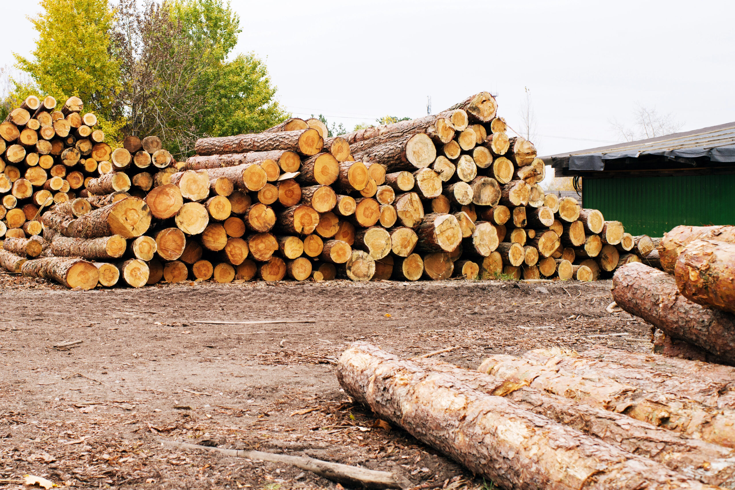 Valuing A Lumber Wholesale Company