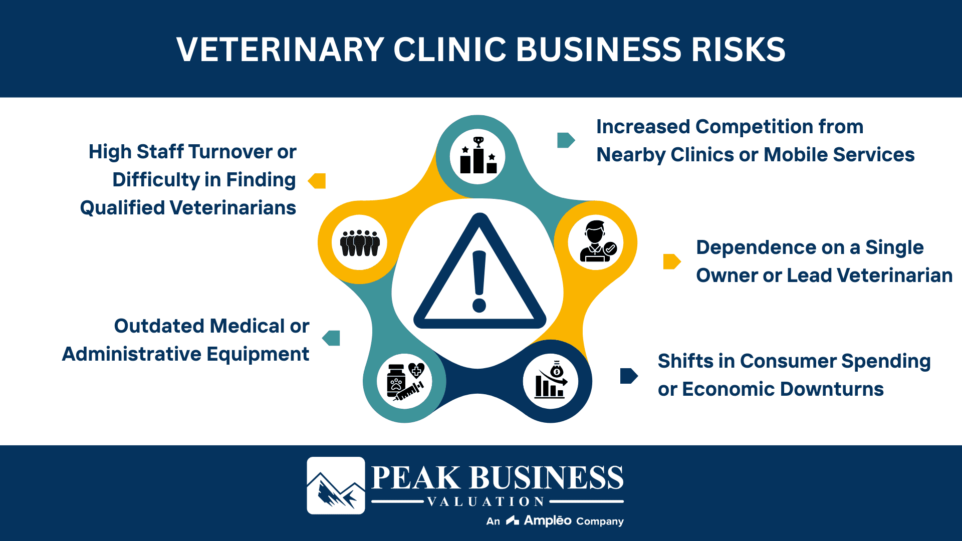 Veterinary Clinic Business Risks
