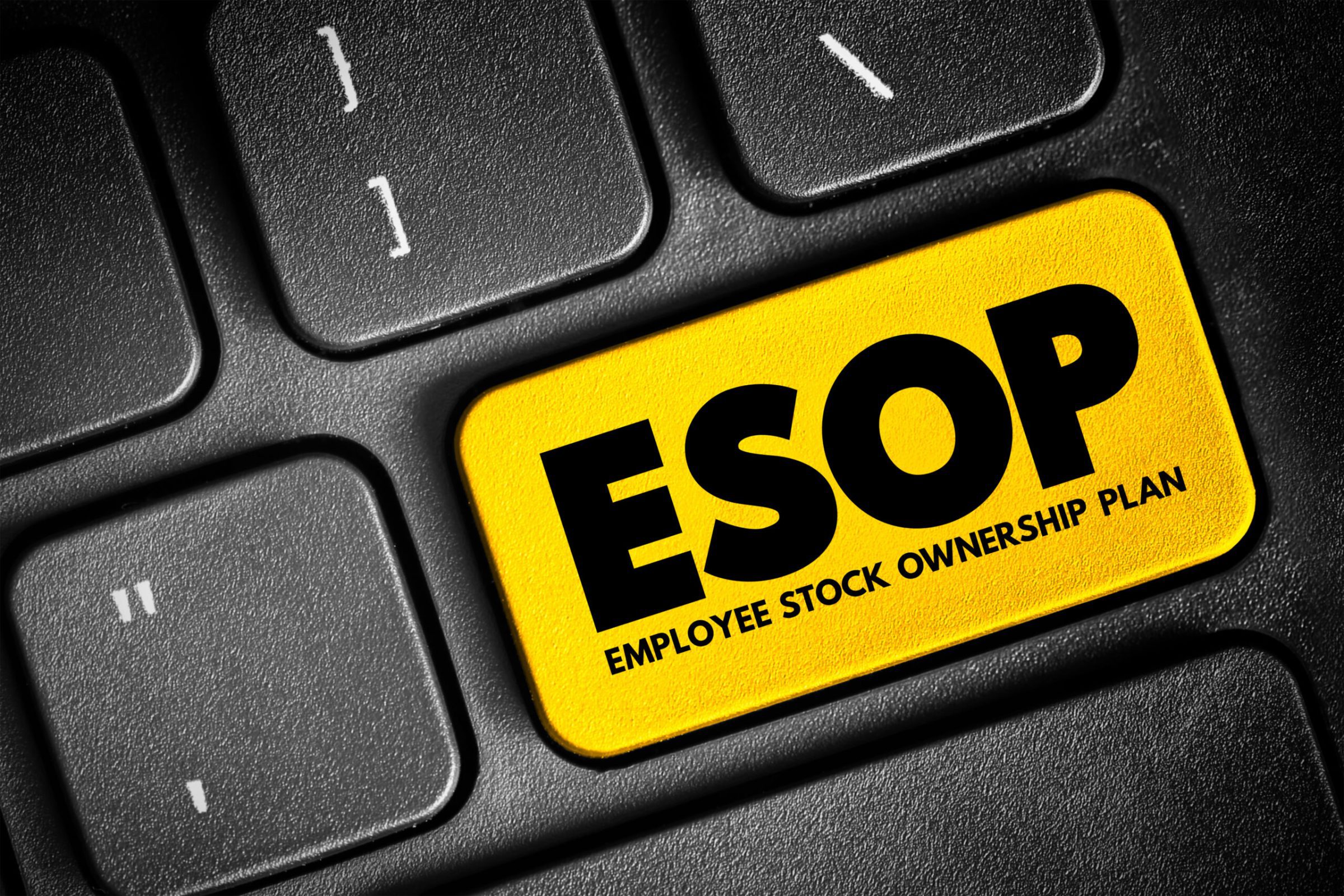 annual ESOP valuations