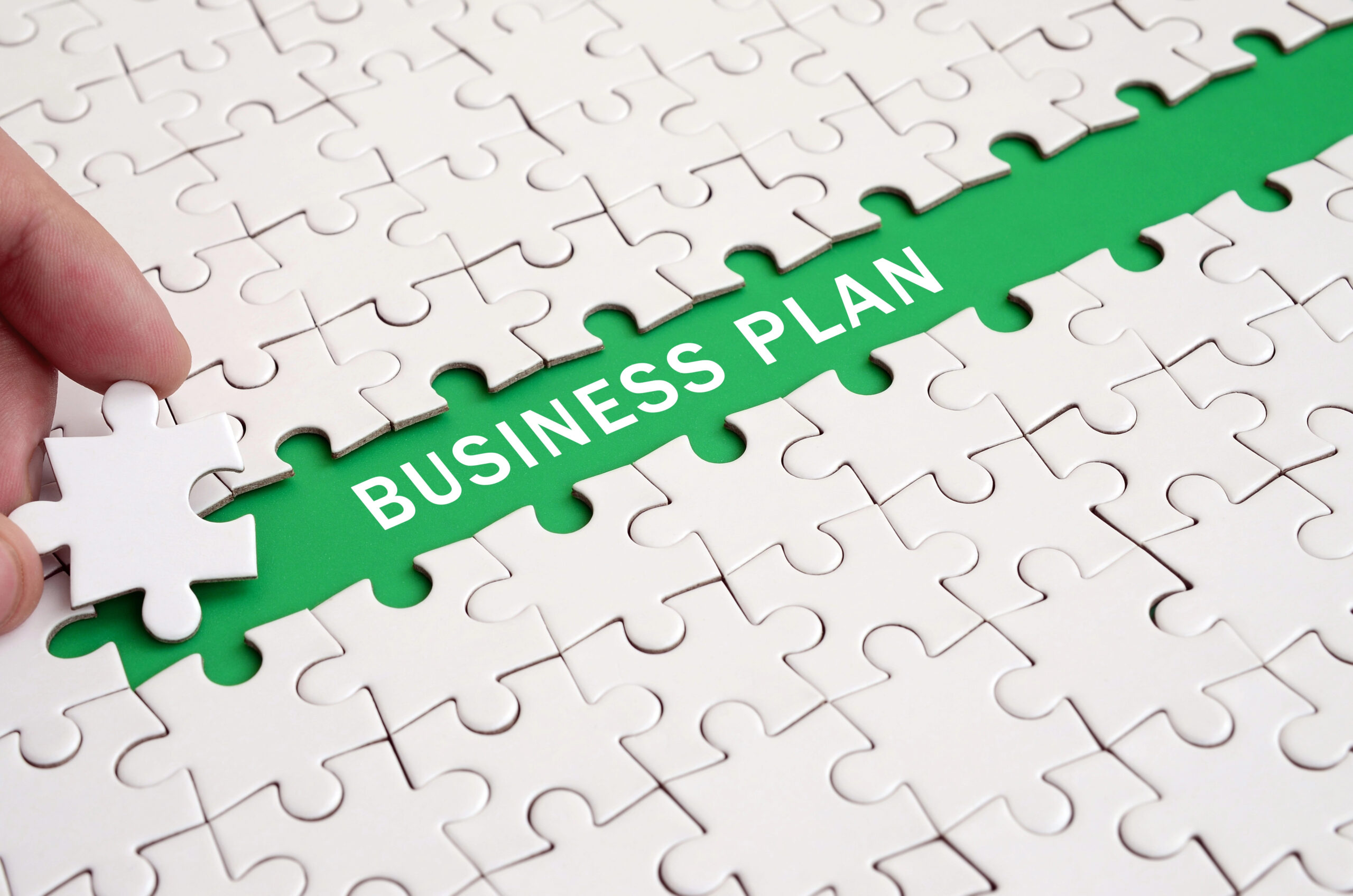 Business Plan Roadmap For Change