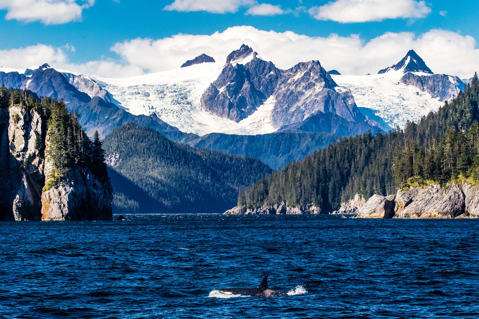 business valuation alaska
