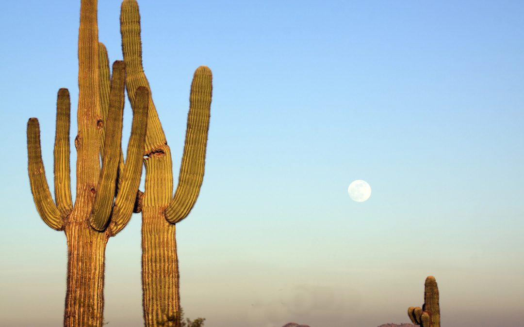 Business Valuation Arizona