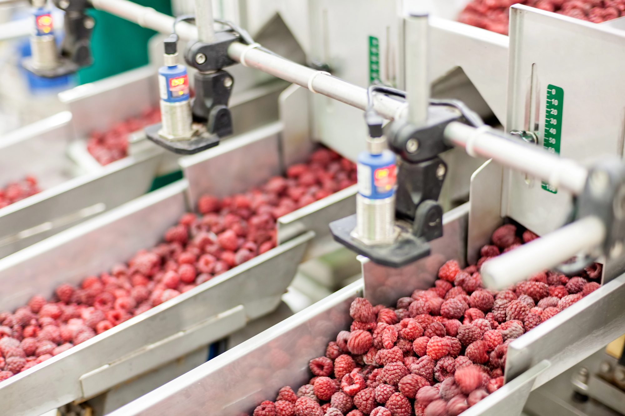 Business Valuation For Buying A Food Manufacturing Business