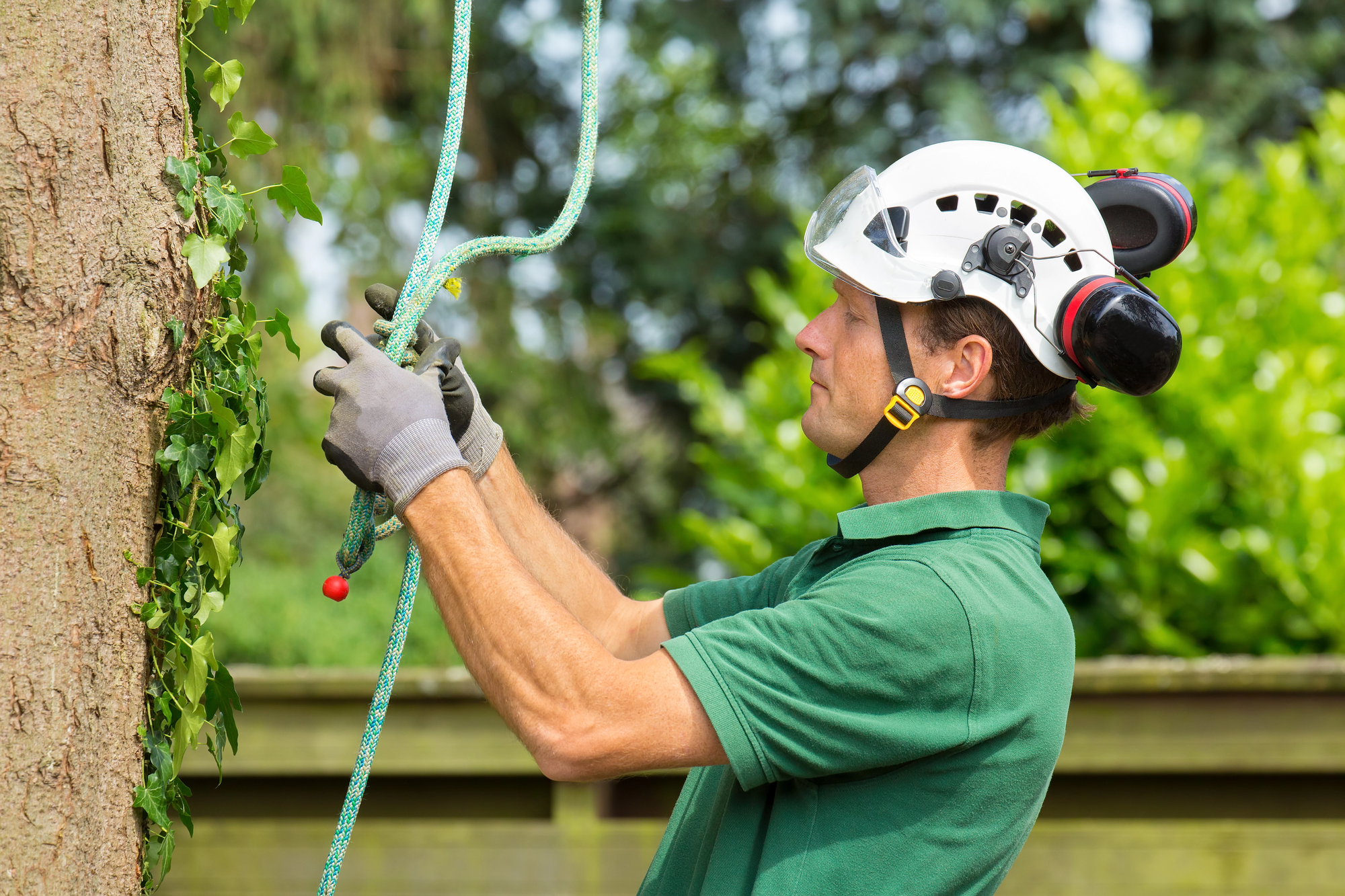 Business Valuation for Buying a Tree Service Business