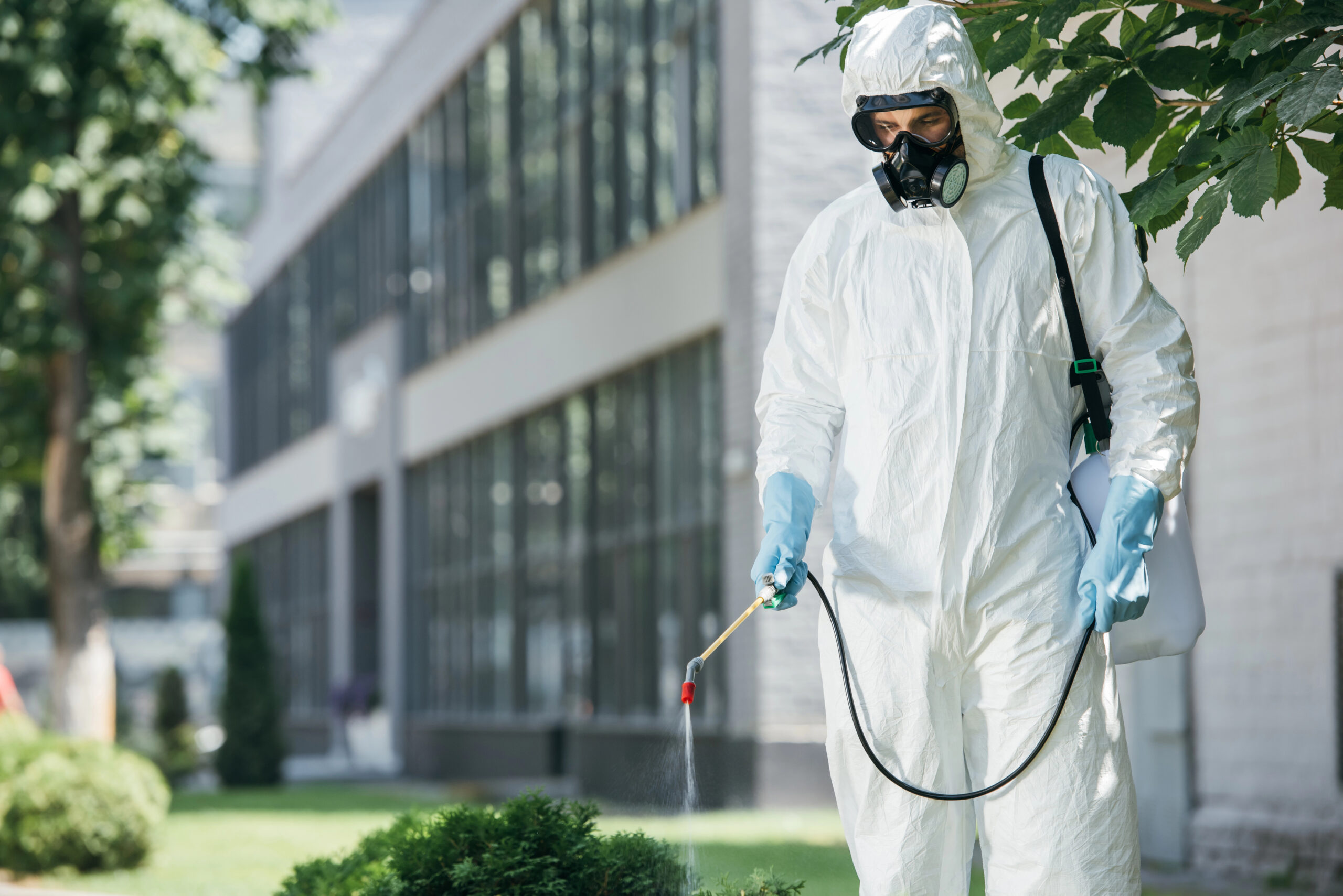 Business Valuation For Selling A Pest Control Company