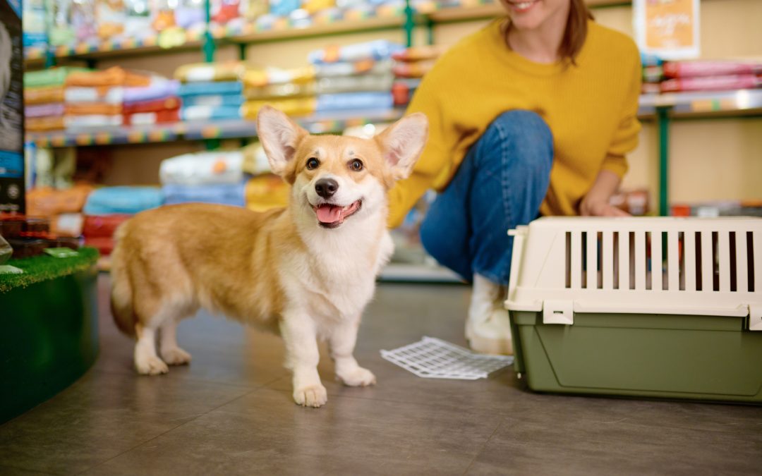Business Valuation for Selling a Pet Store