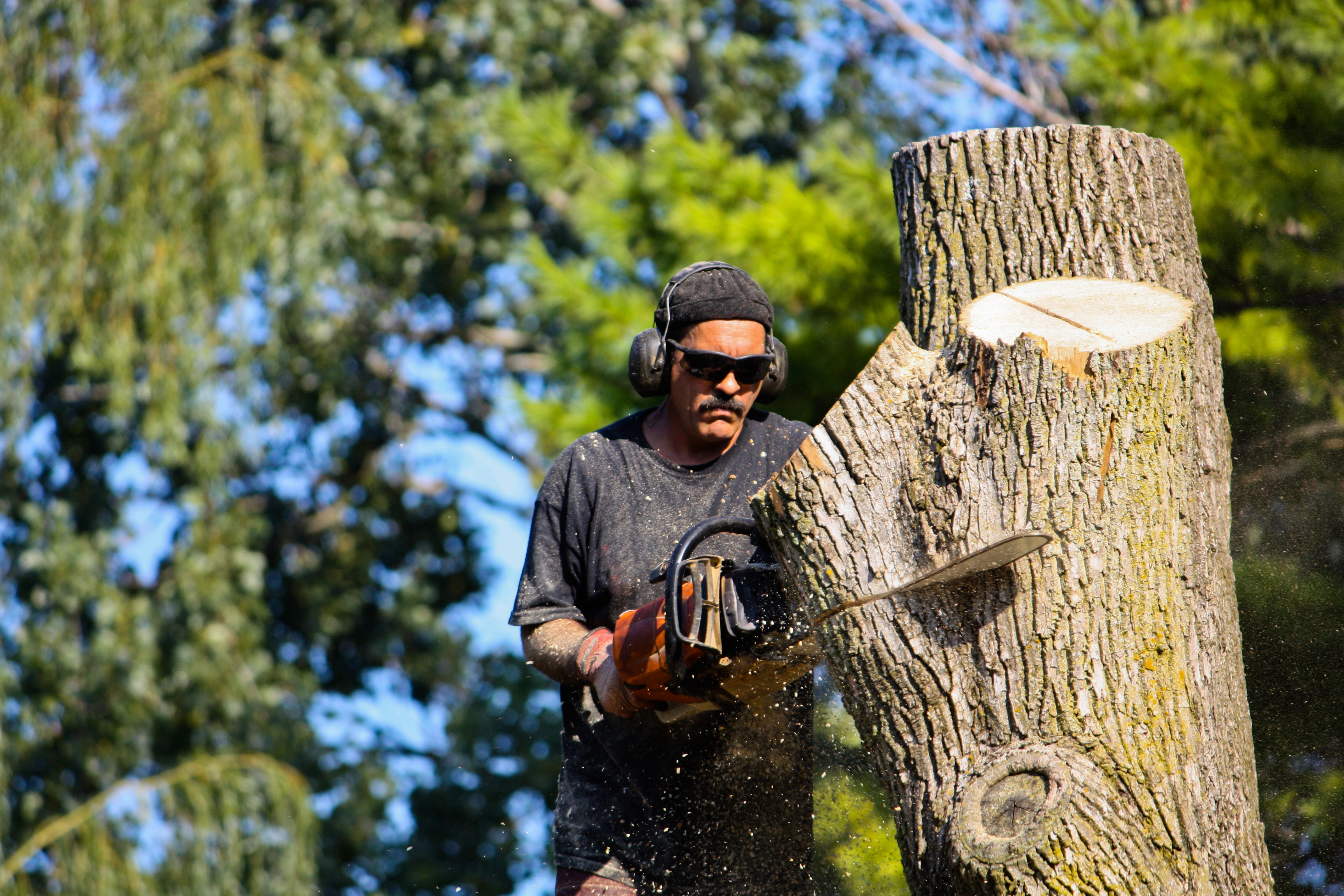 Business Valuation for Selling a Tree Service Business