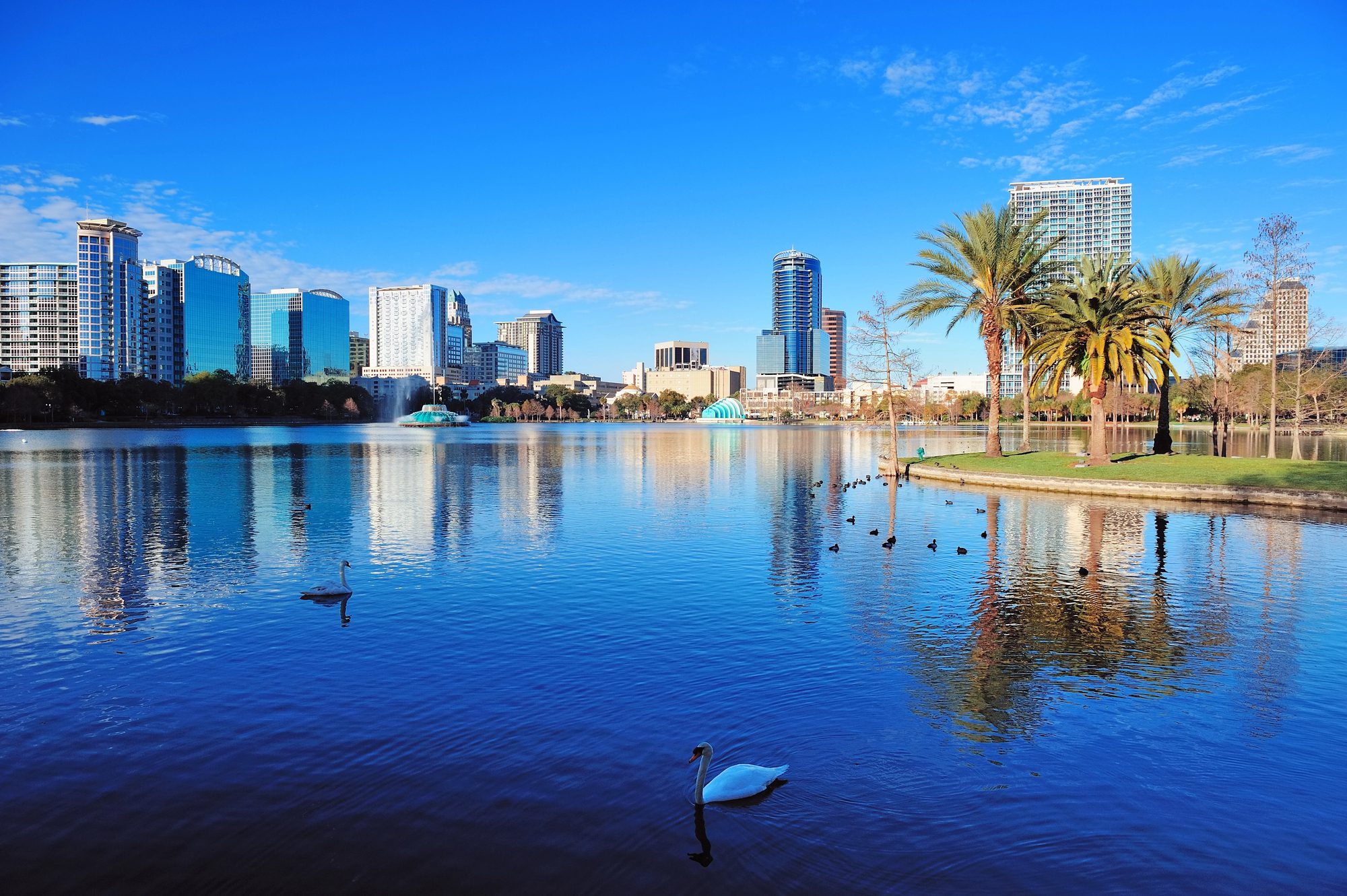 Business Valuation Orlando