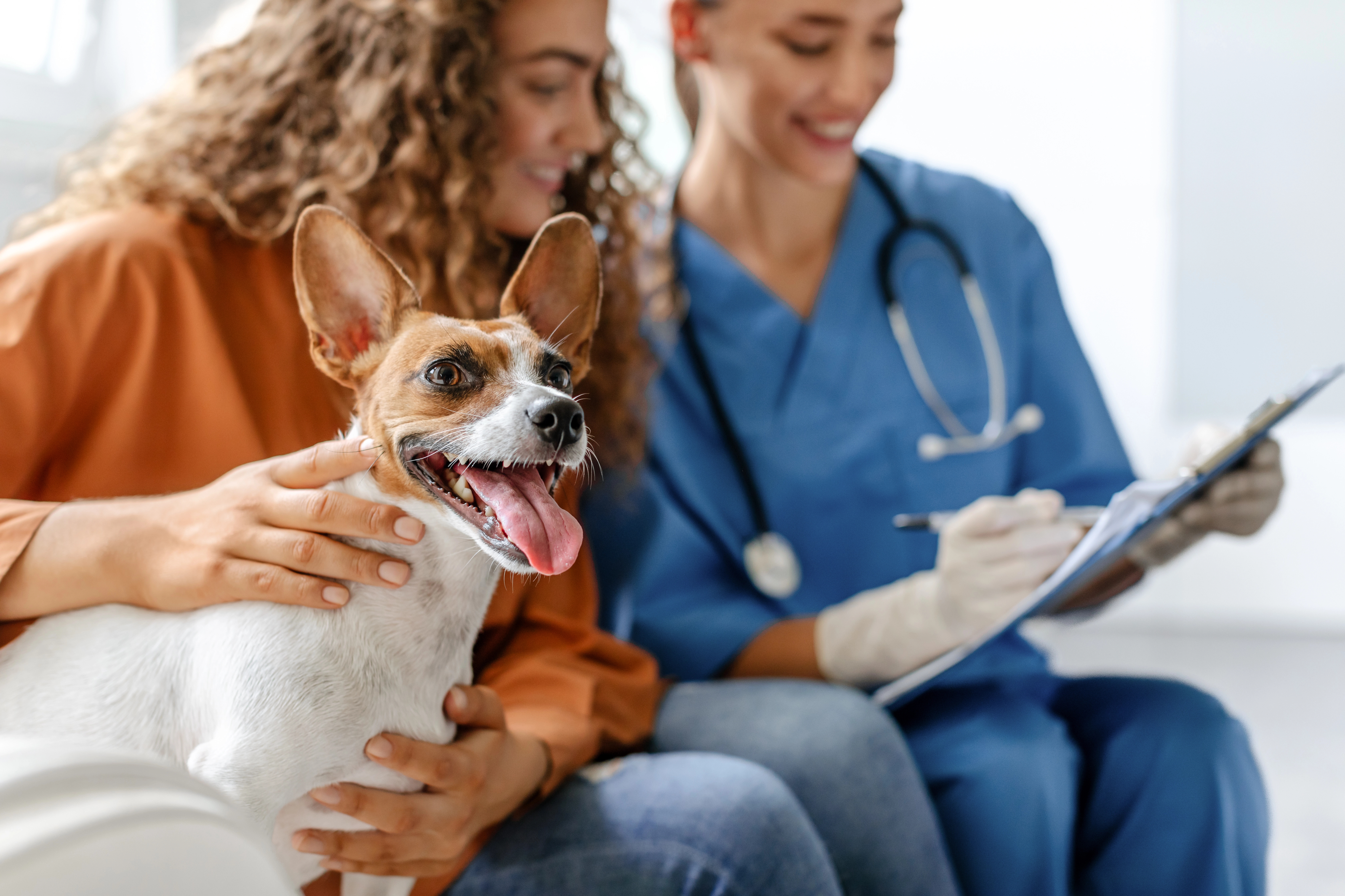 Business Valuation for Selling a Veterinary Clinic