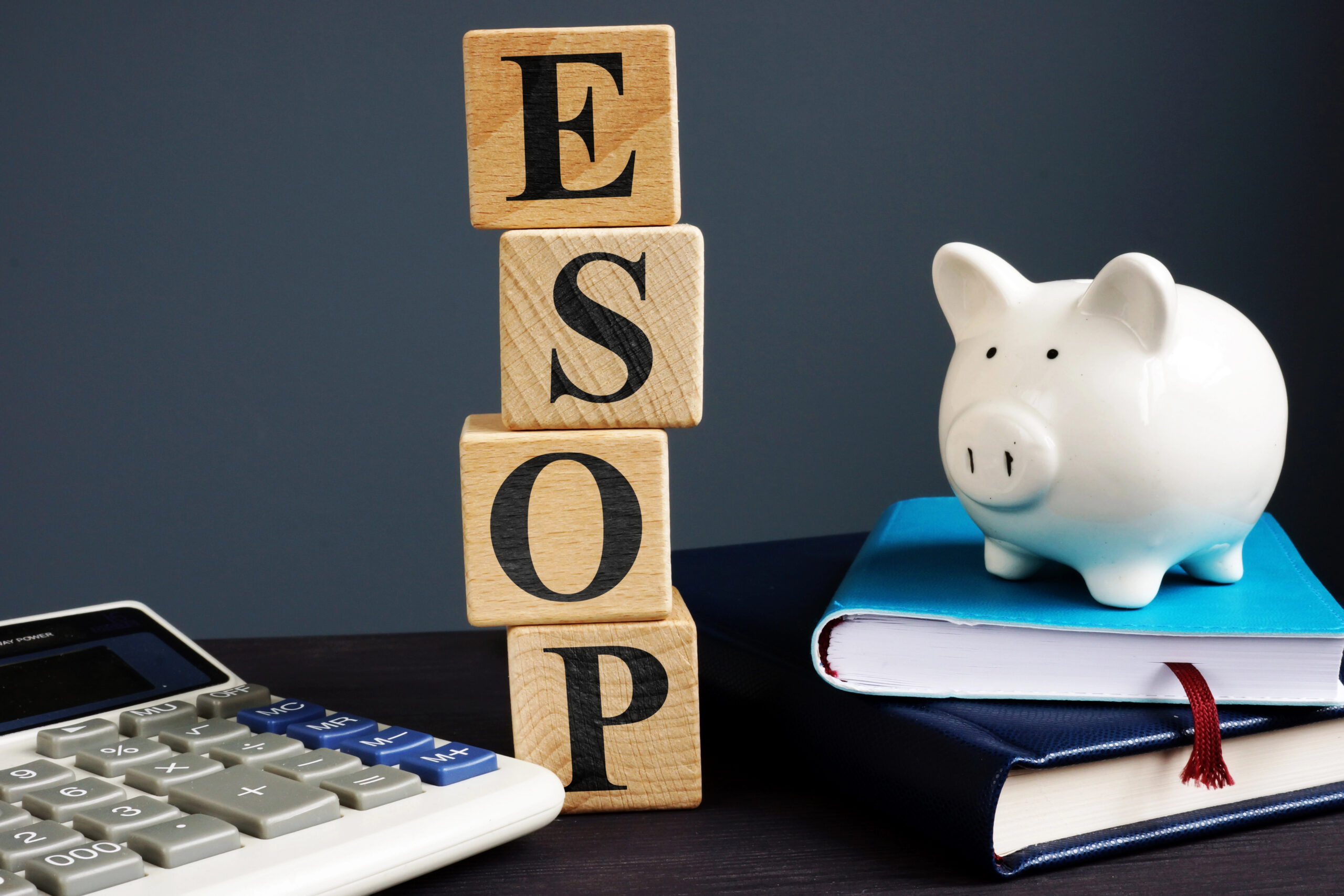 Guide To An Esop Valuation Report