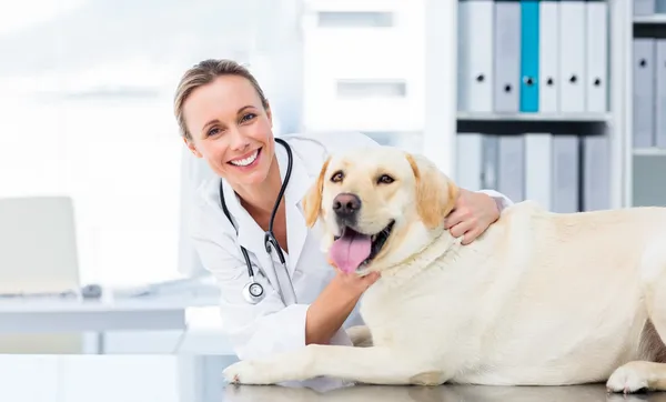 Obtaining a Veterinary Equipment Appraisal