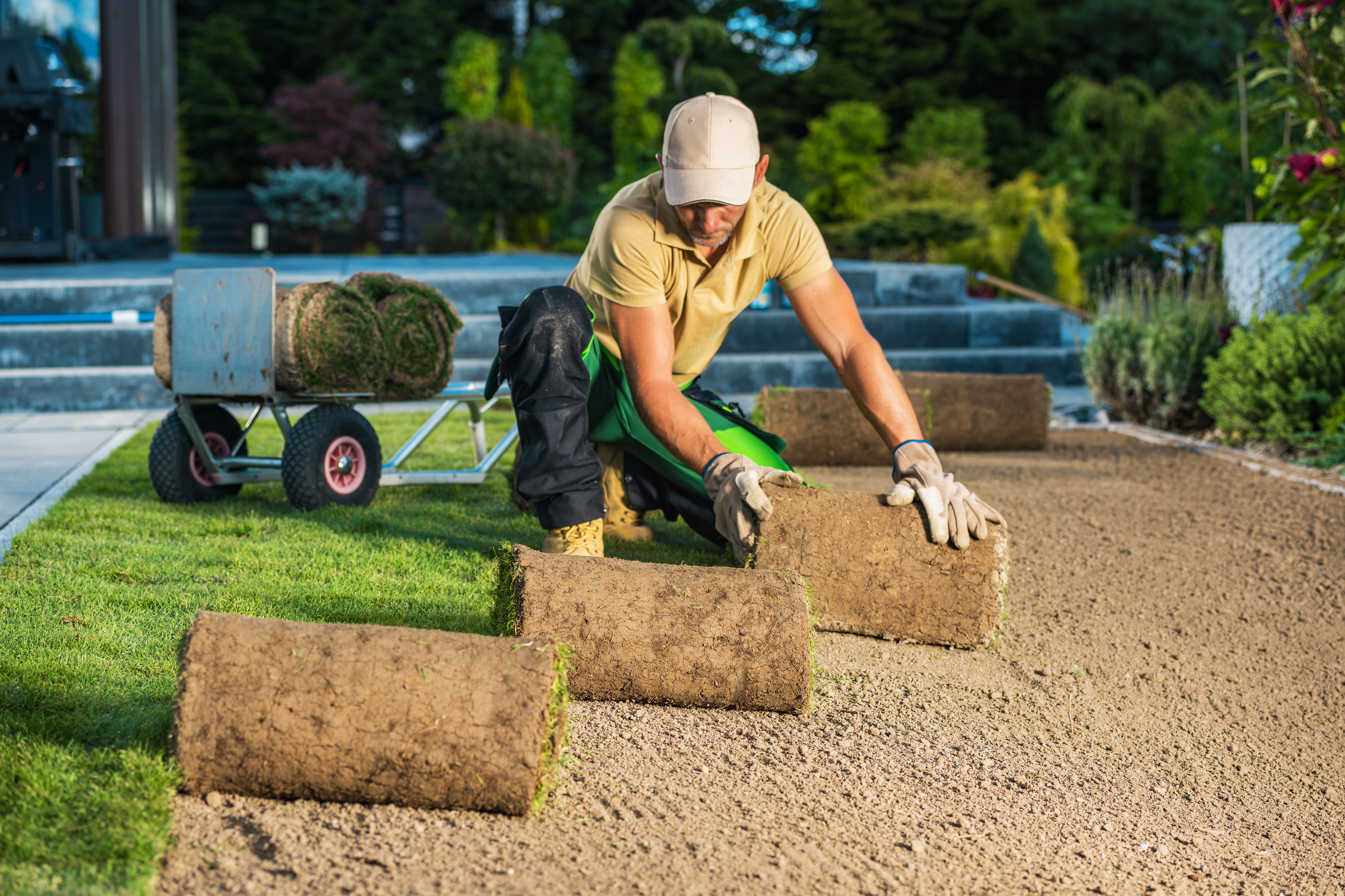 Landscaping Valuation Multiples