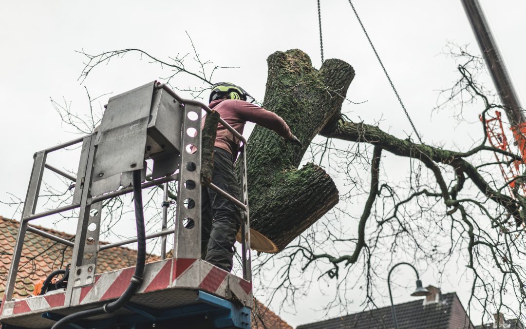 Obtaining a Tree Service Equipment Appraisal