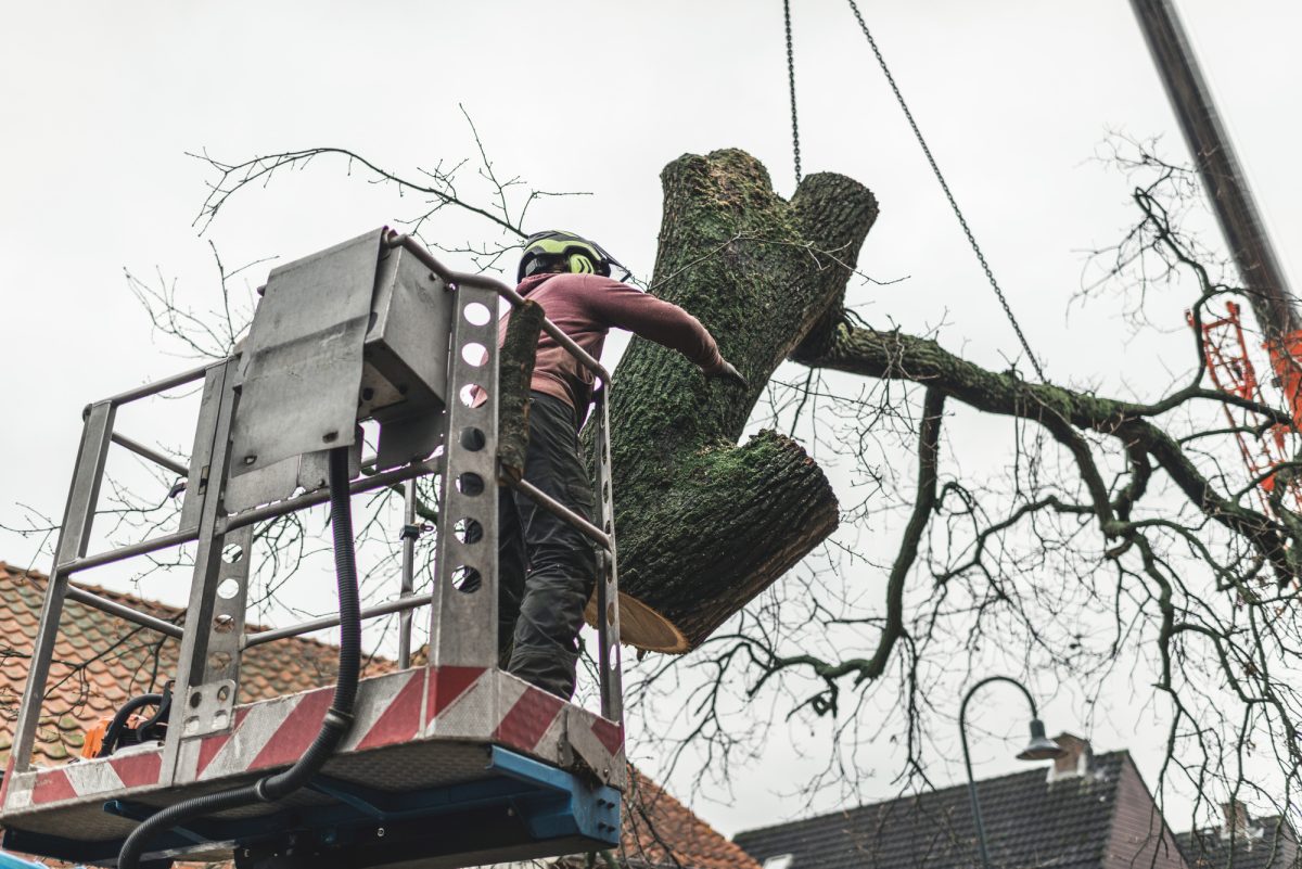 obtaining a tree service equipment appraisal
