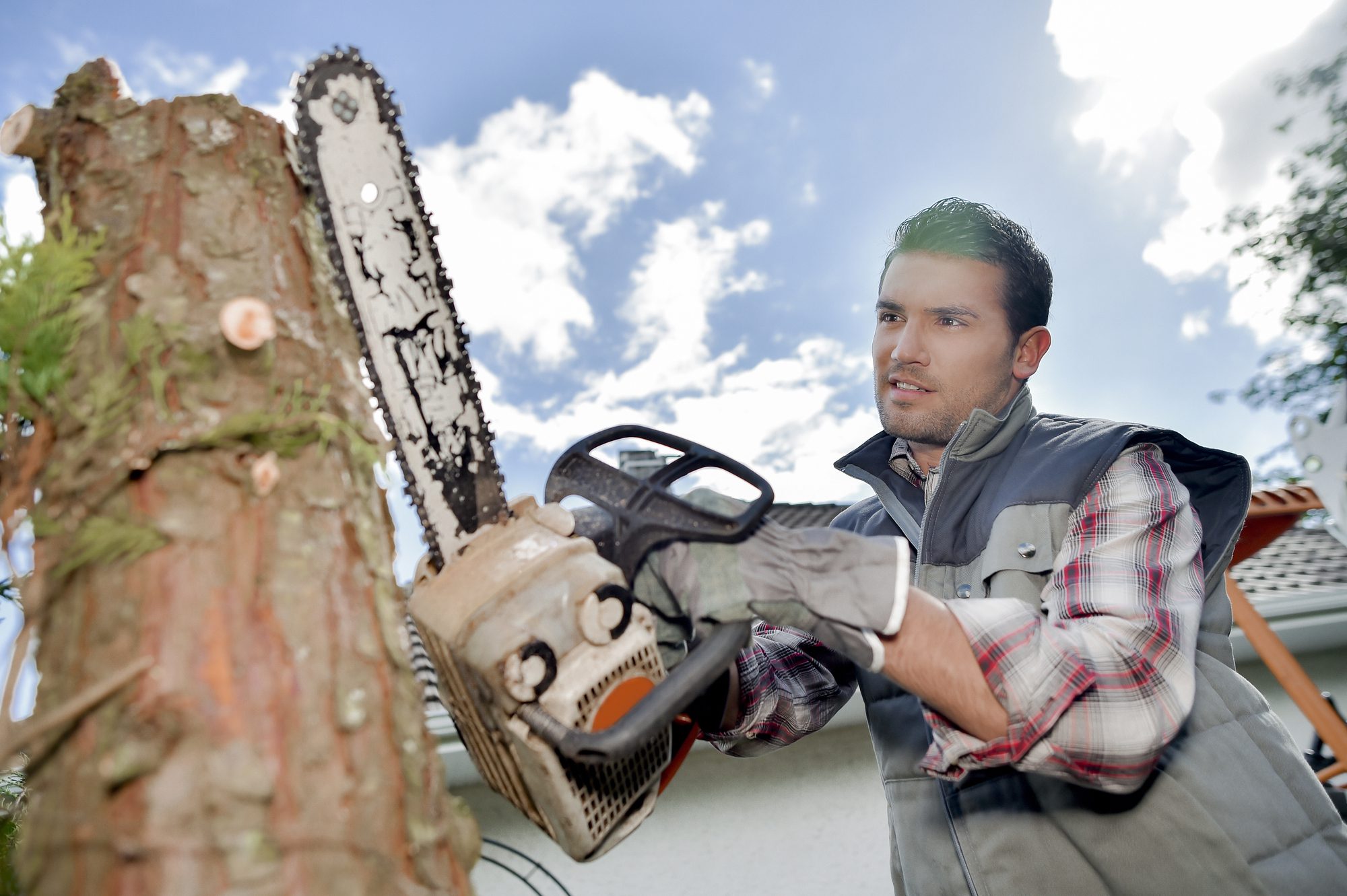 Tree Service Equipment Appraisal