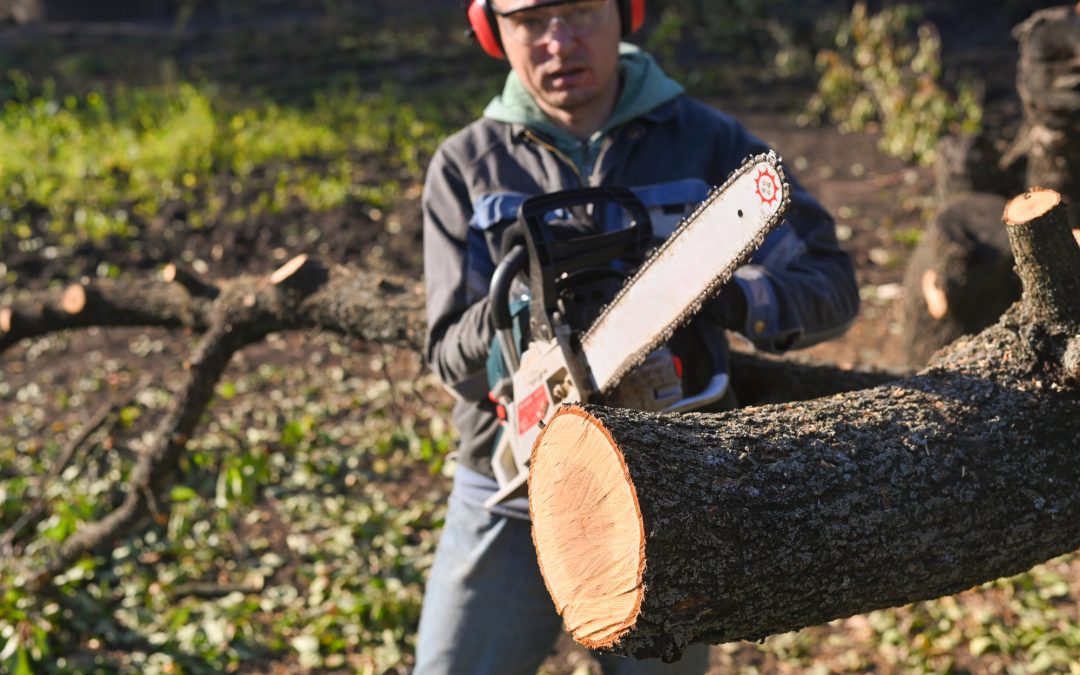 Tree Service Valuation Multiples