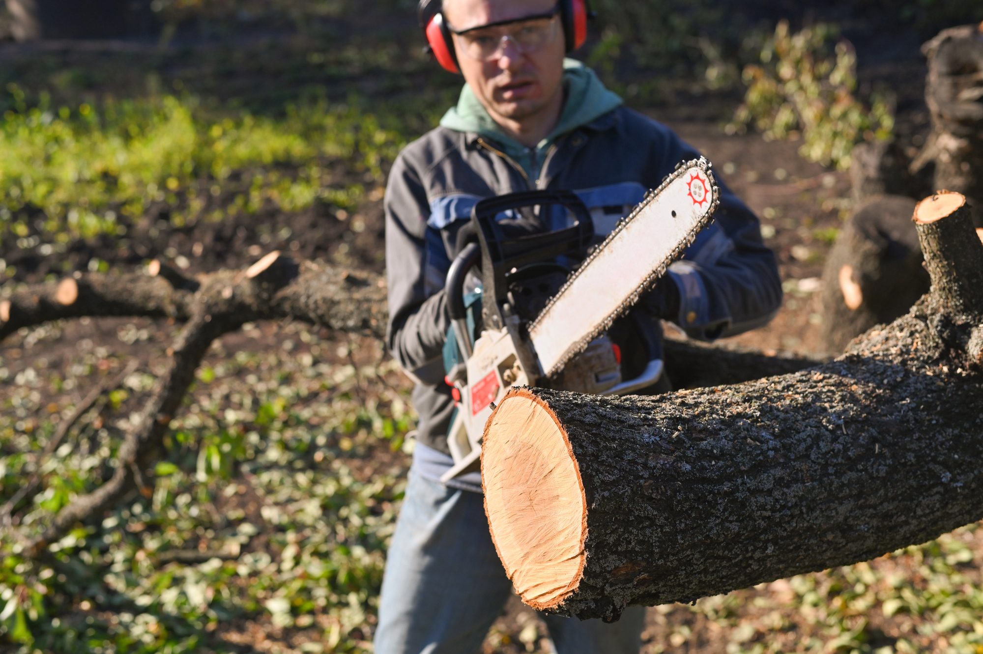 Tree Service Valuation Multiples Tree Service Valuation Multiples