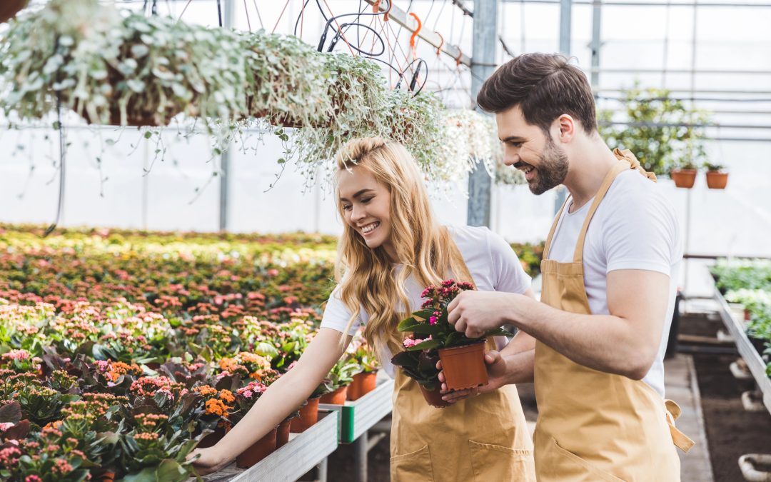 Valuation Multiples for a Nursery
