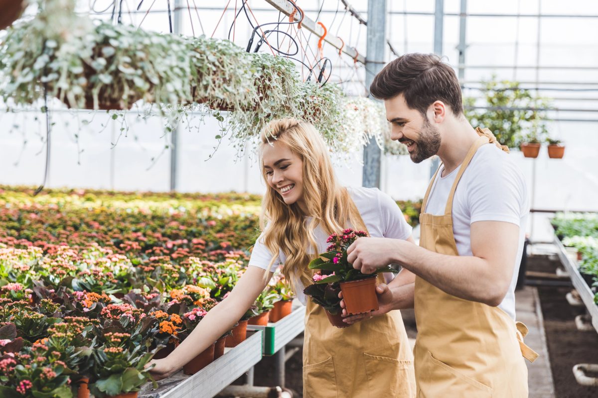 Valuation Multiples For A Nursery Business Valuation Multiples For A Nursery Business