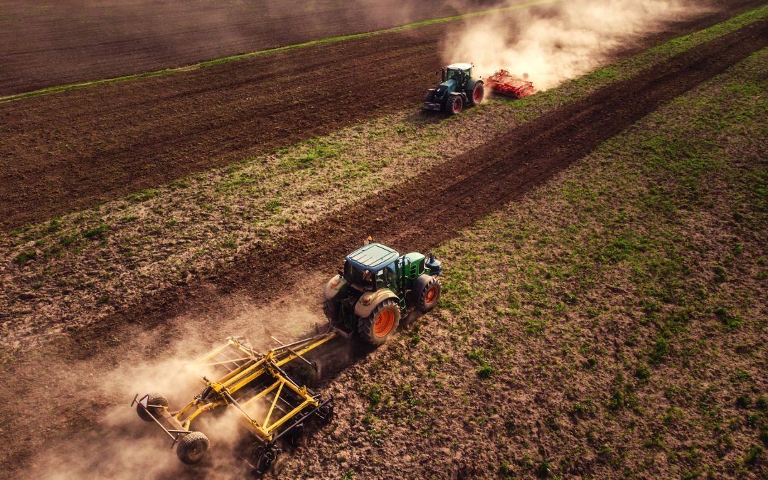Value Drivers for a Farm Business