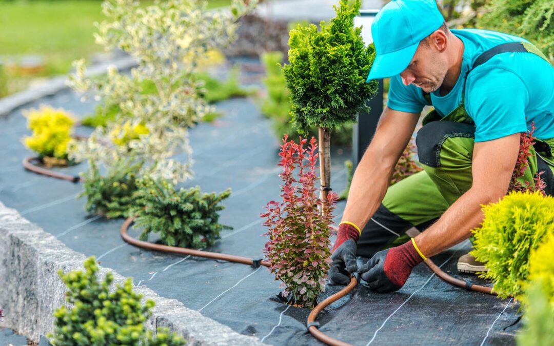 Value Drivers for a Landscaping Company