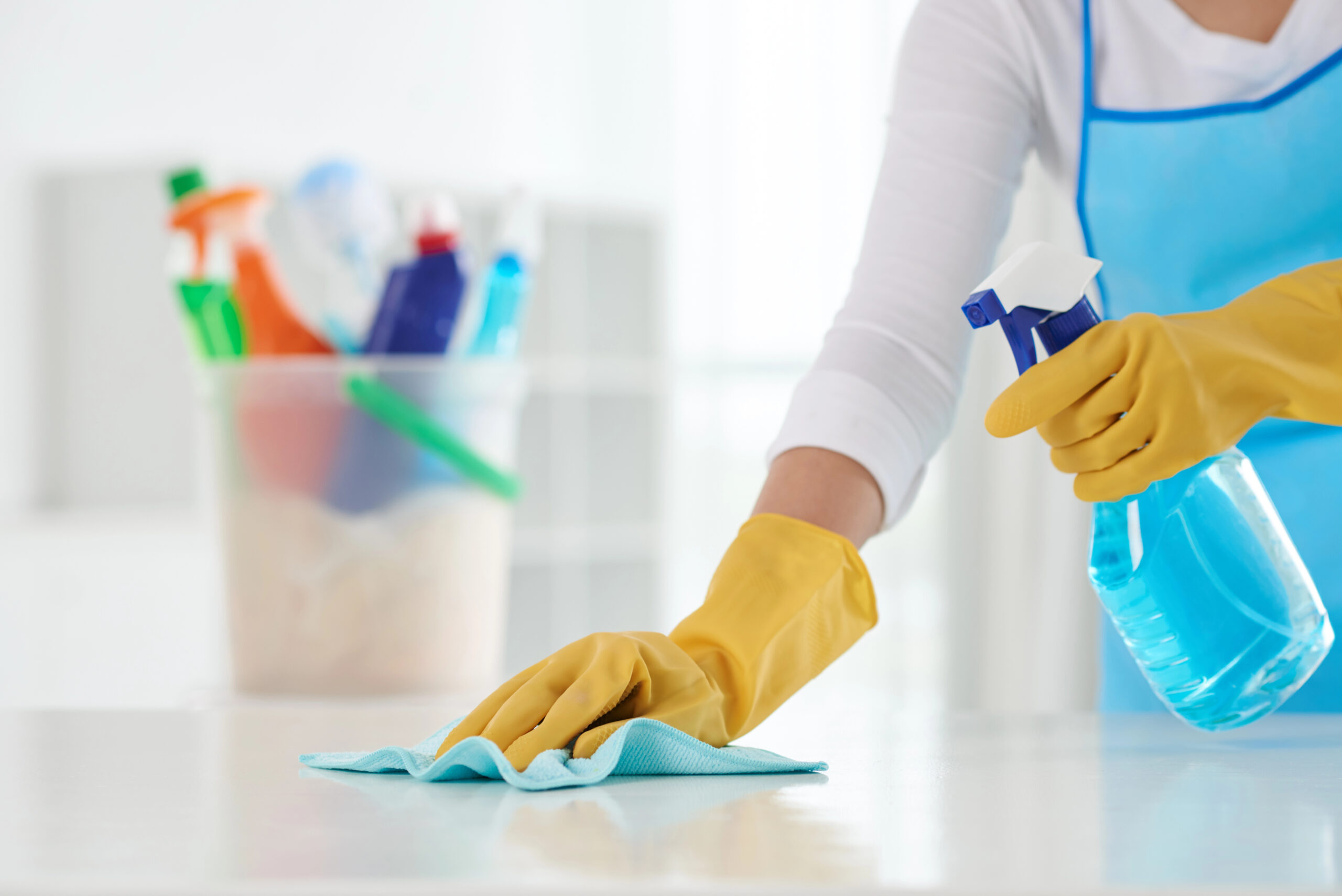 Valuing A Cleaning Company
