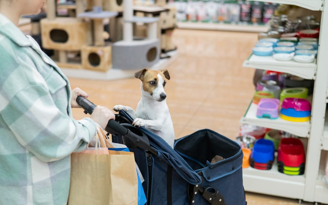 Valuing a Pet Store