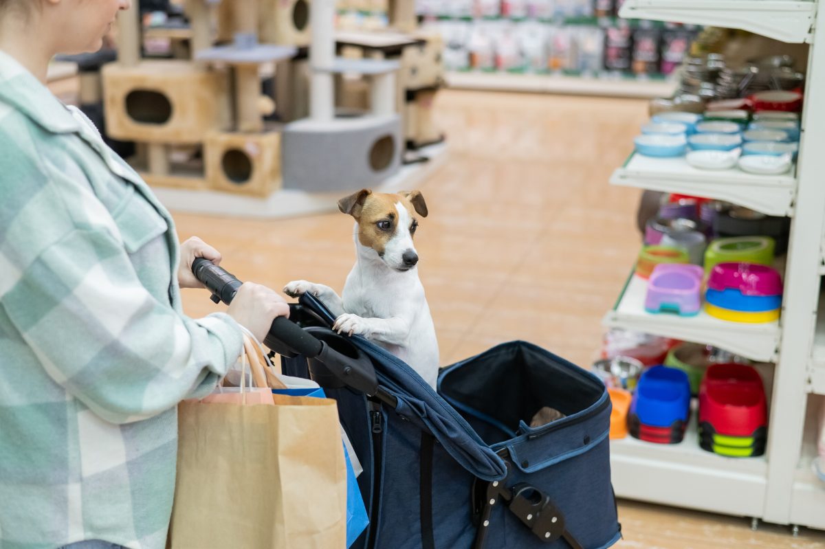 Valuing a Pet Store