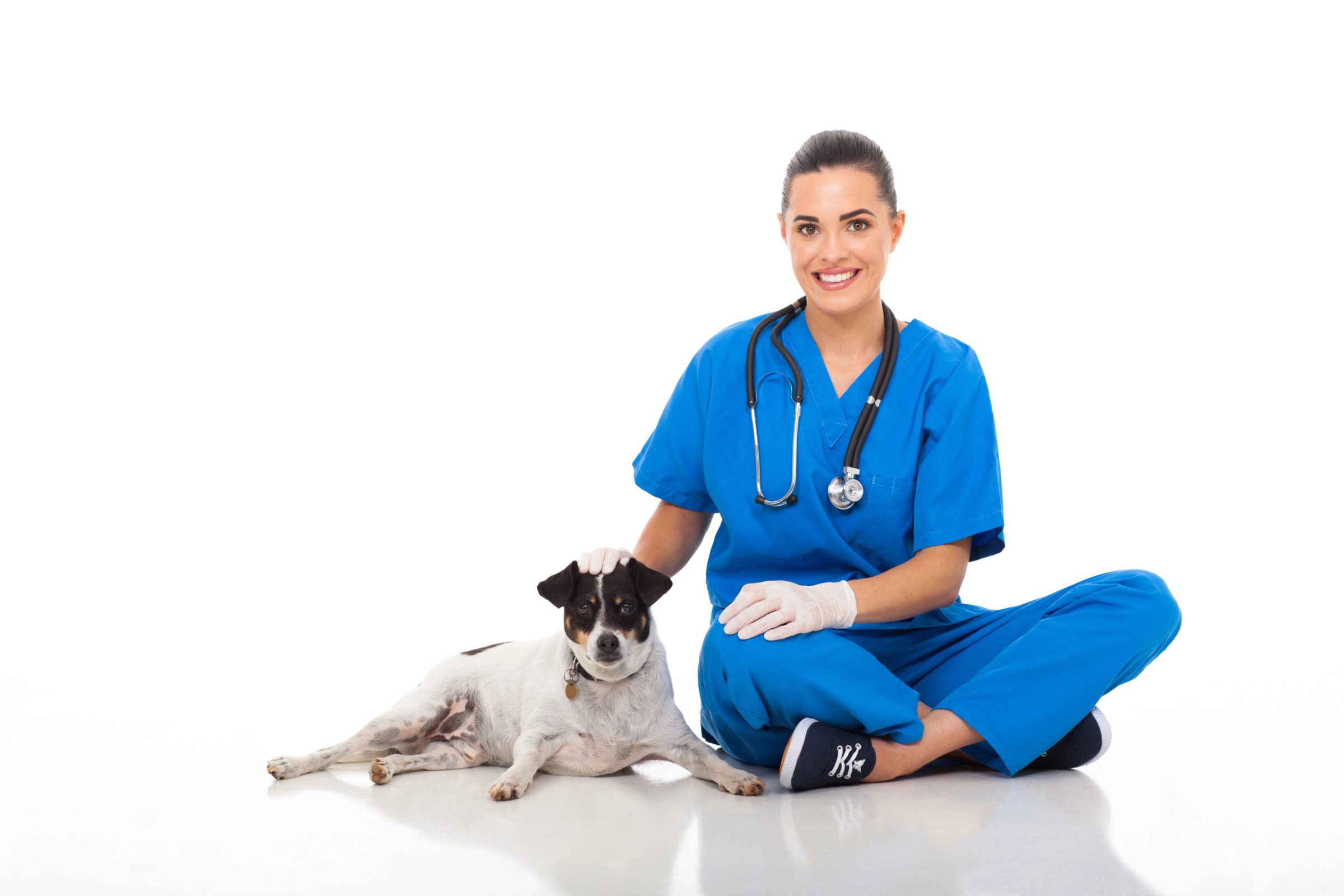 Valuing A Veterinary Clinic