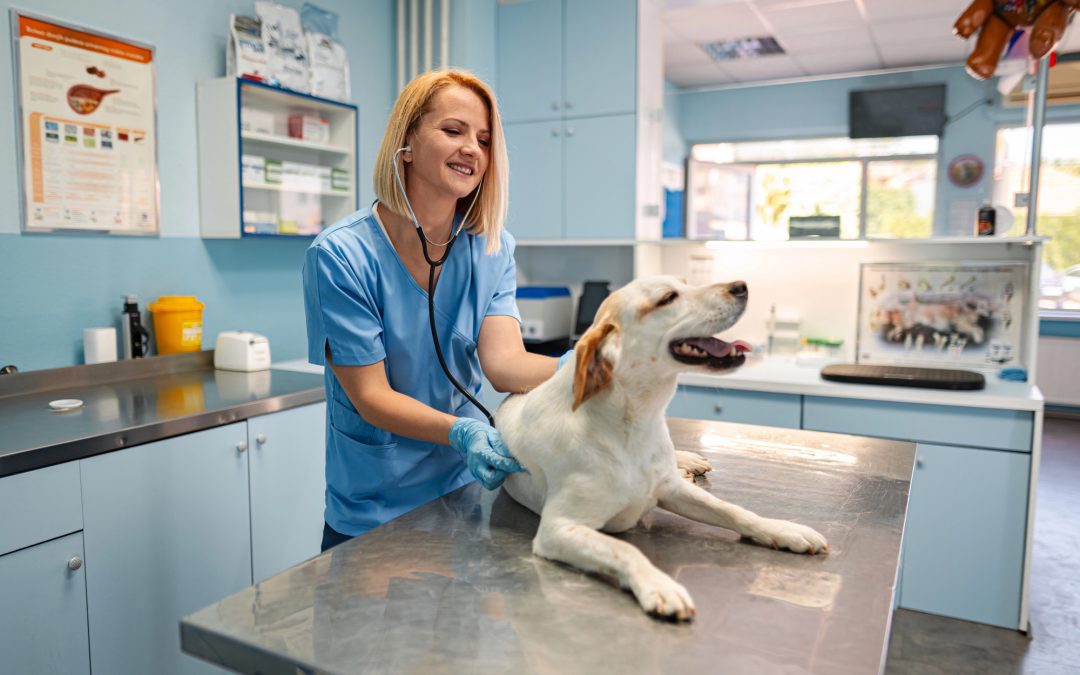 Veterinary Clinic Valuation Multiples
