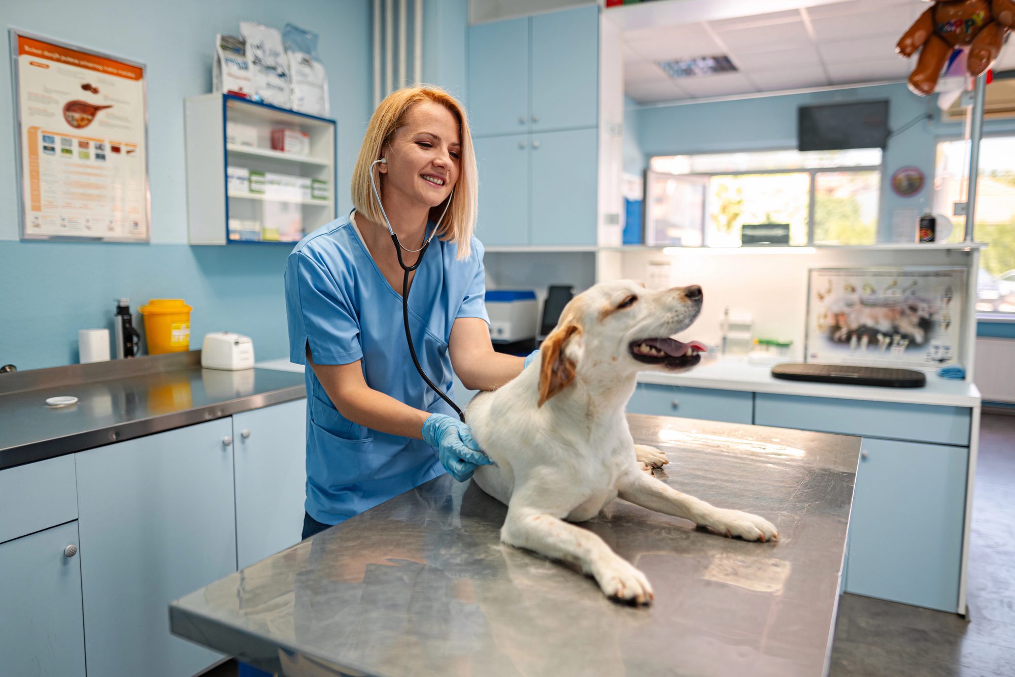Veterinary Clinic Valuation Multiples